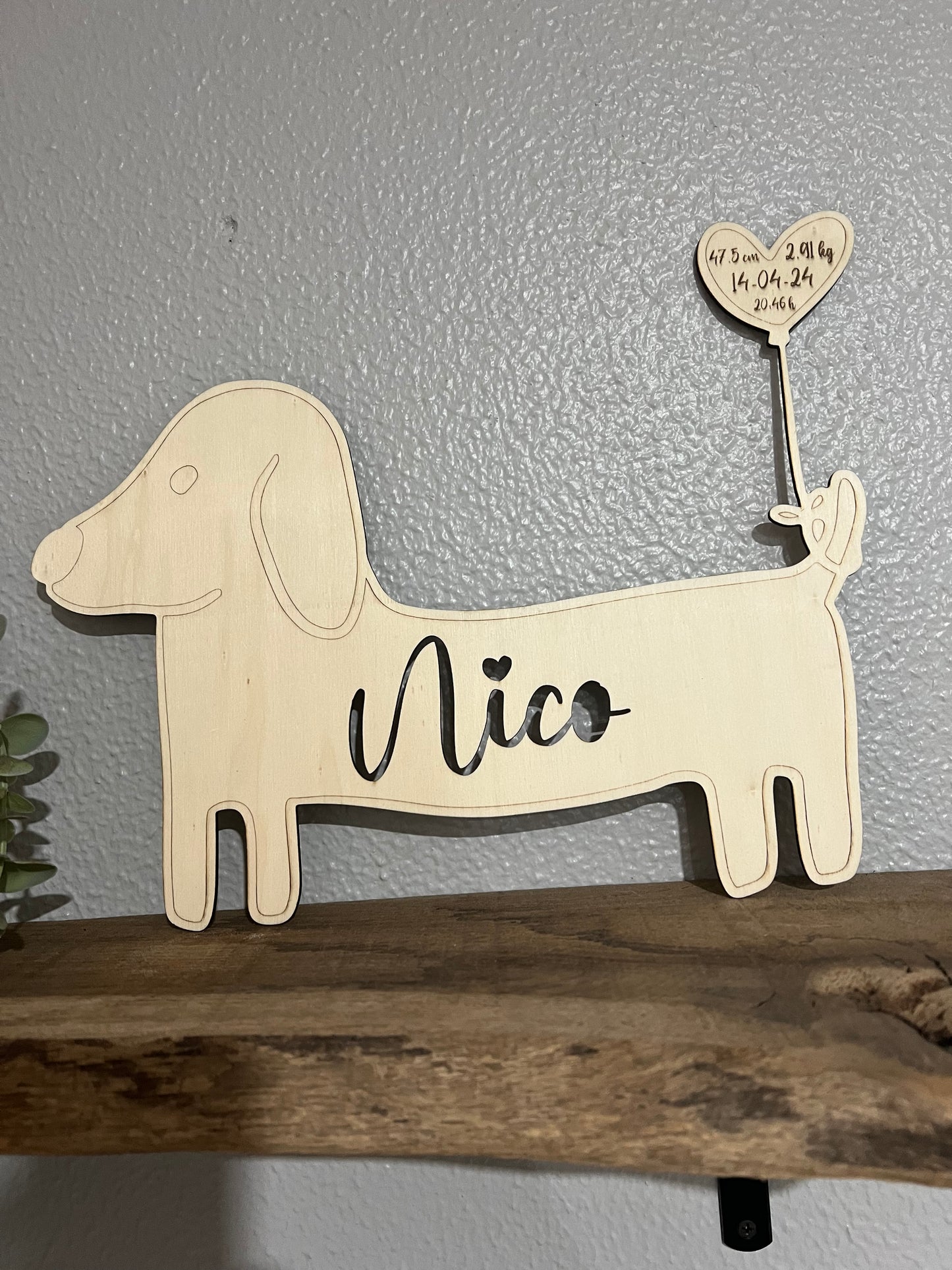 Perrito con datos natalicios